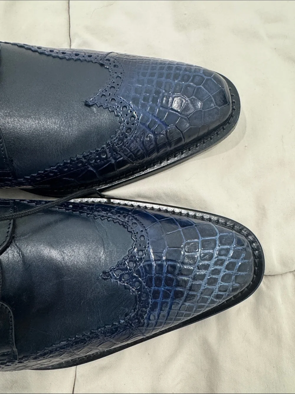 Belvedere BELV. WING LU Genuine Alligator 10 NWT